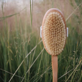 Croll & Denecke | Wooden Body Brush With Handle