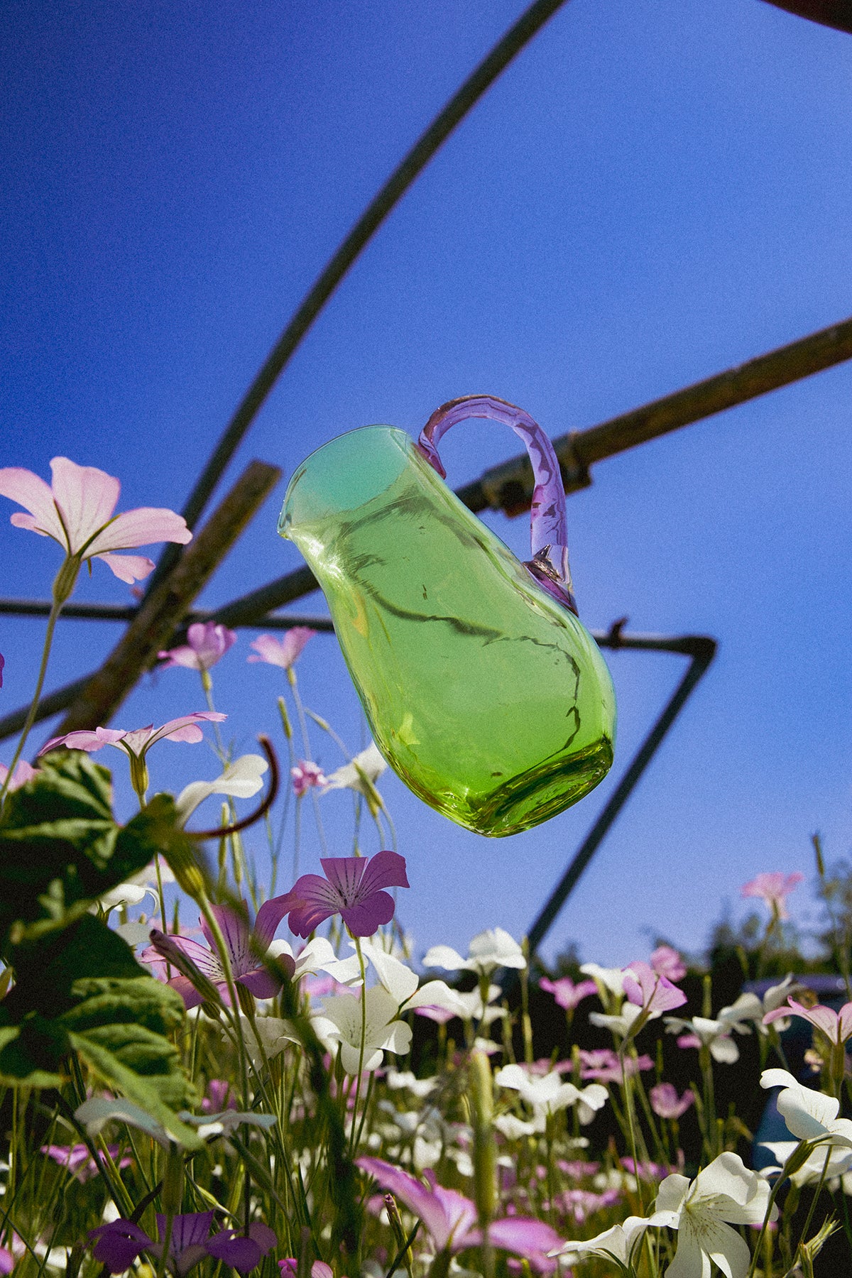 Bloom Where You're Planted: Wildflower Summer Campaign
