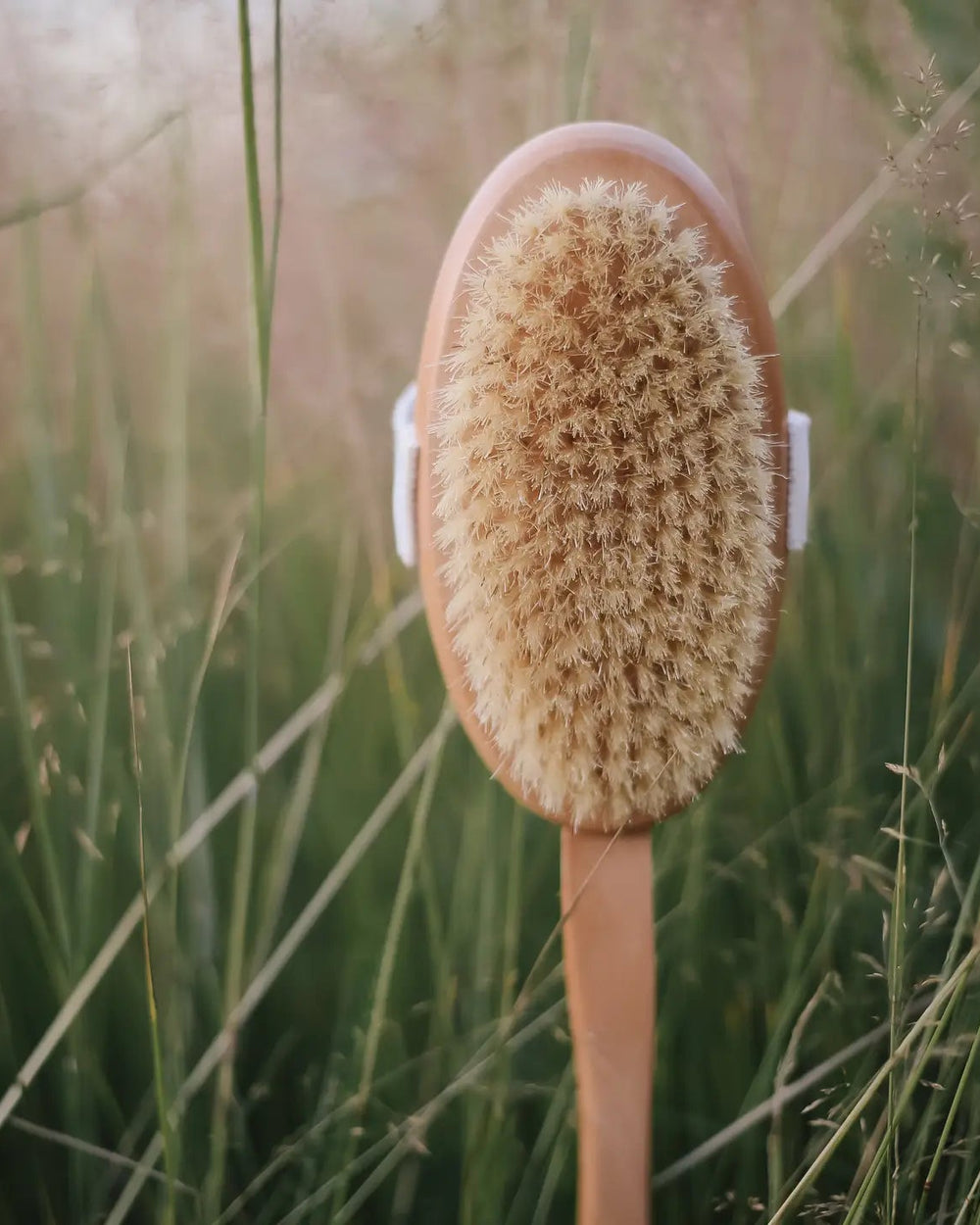 Body brush with natural bristles on a blurred grassy background