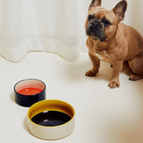 HAY | Dogs Bowl - Small - Red/Blue