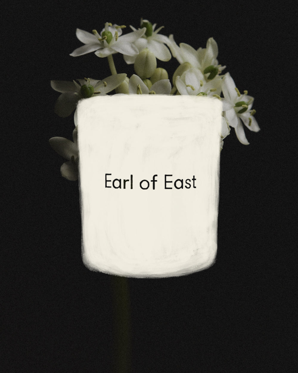 Wildflower Scented Candle, 260ml by Earl of East, against dried hydrangea