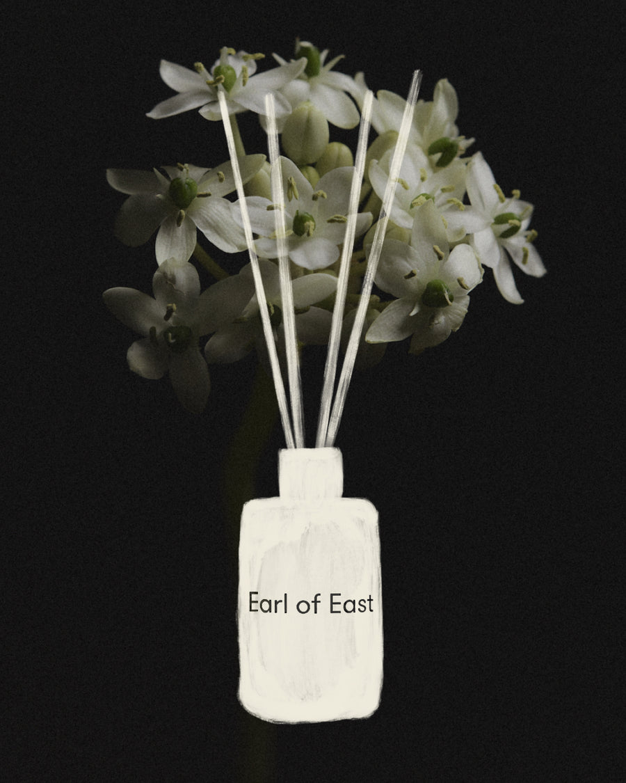Wildflower Reed Diffuser, 150ml by Earl of East, against dried hydrangea