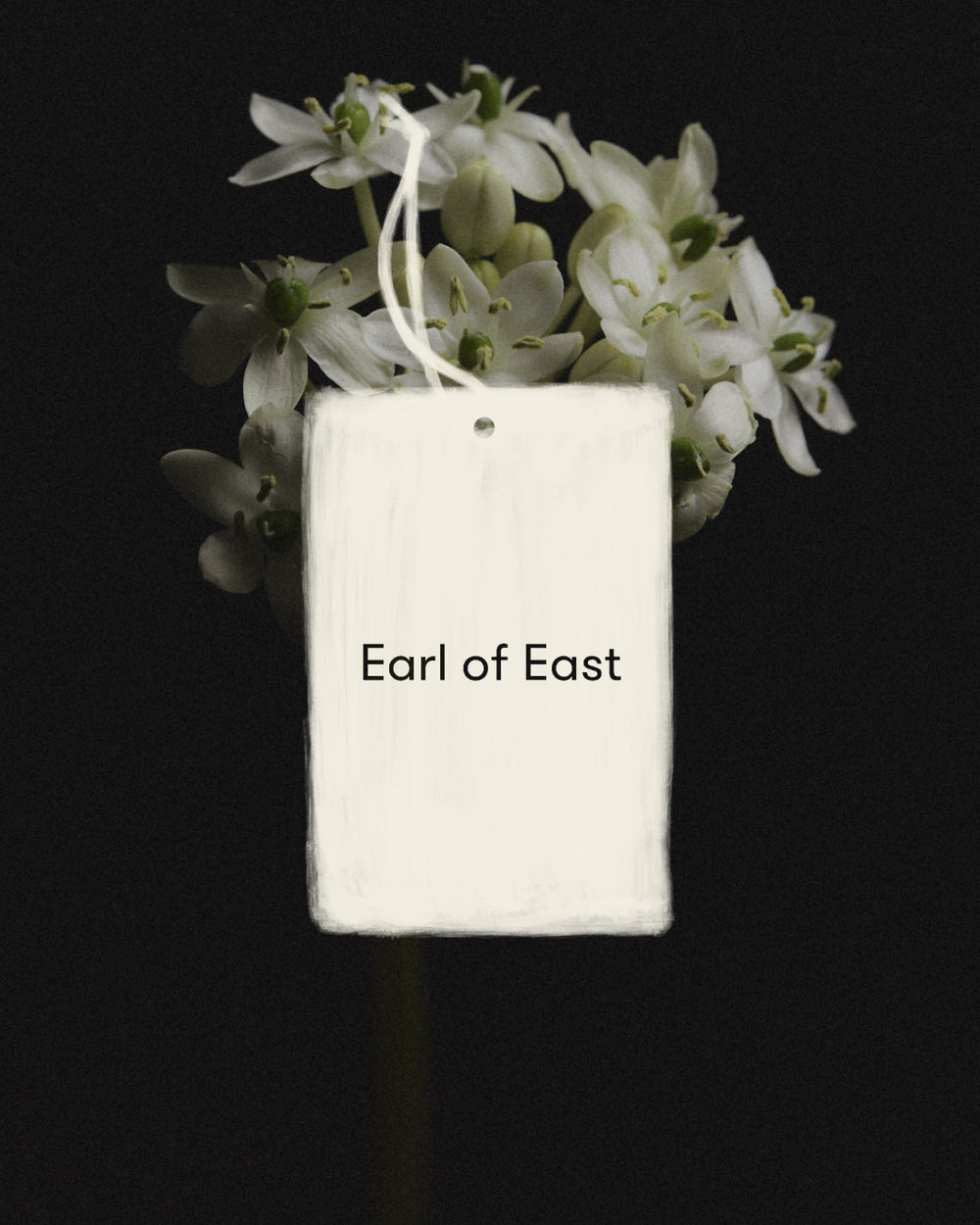 Wildflower Air Freshener by Earl of East, against dried hydrangea