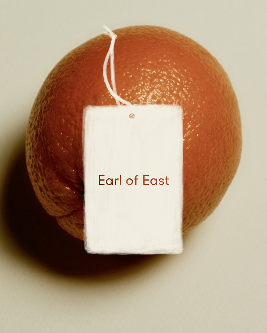 Strand Air Freshener by Earl of East, against a grapefruit