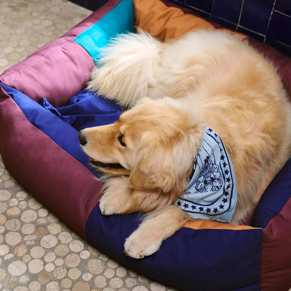 Dogs Scarf, Light Blue by HAY, worn by a dog lying on a dog bed
