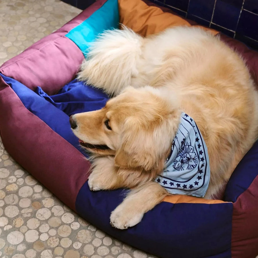 Dogs Scarf, Light Blue by HAY, worn by a dog lying on a dog bed