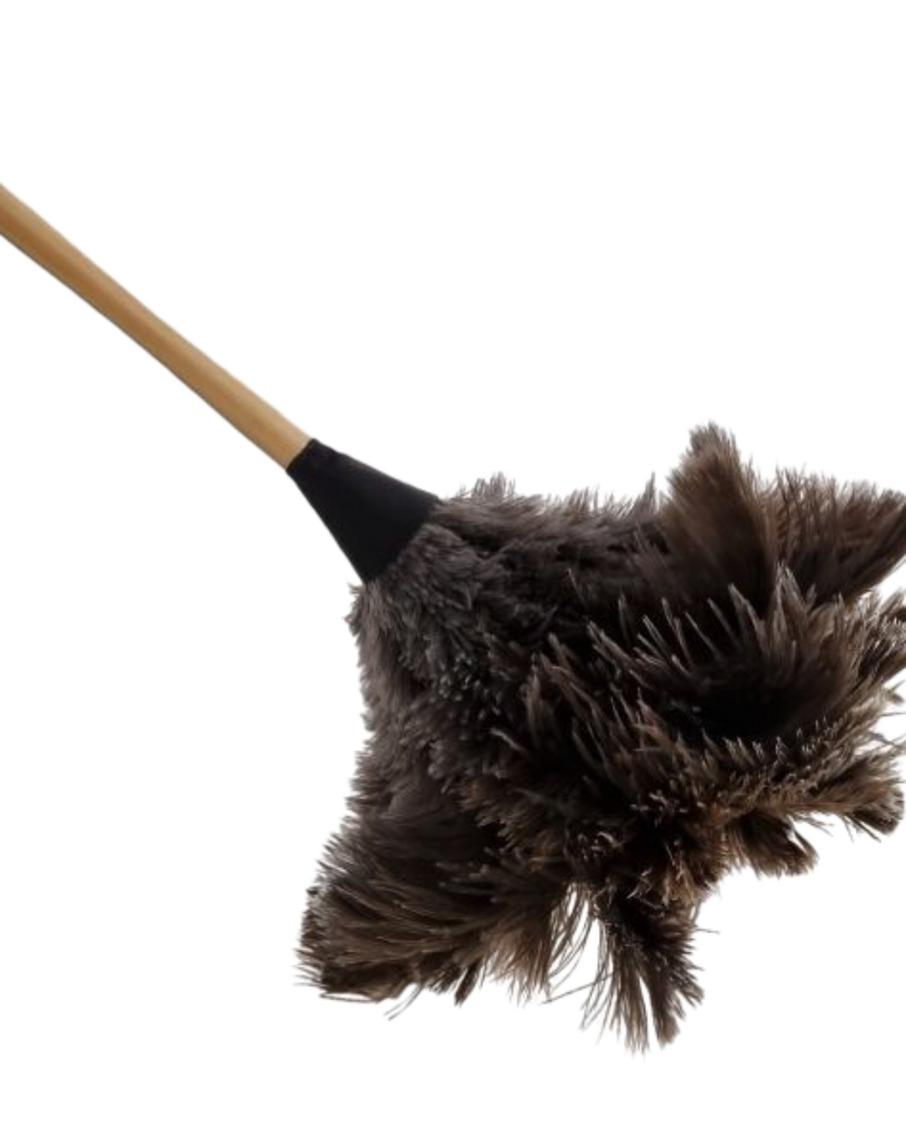 Ostrich Feather Duster, Large by Croll & Denecke