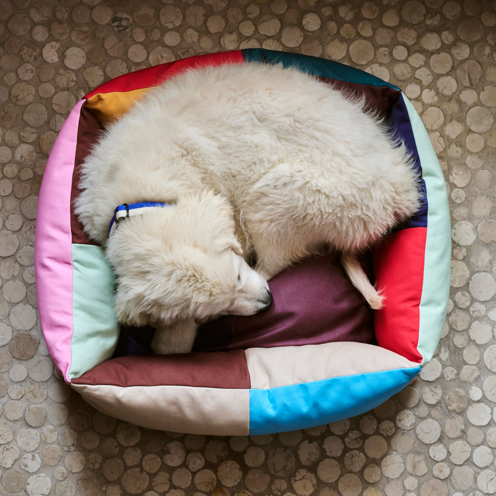 Dogs Bed with Zipper, Small, Multi by HAY, with a fluffy white dog asleep in it