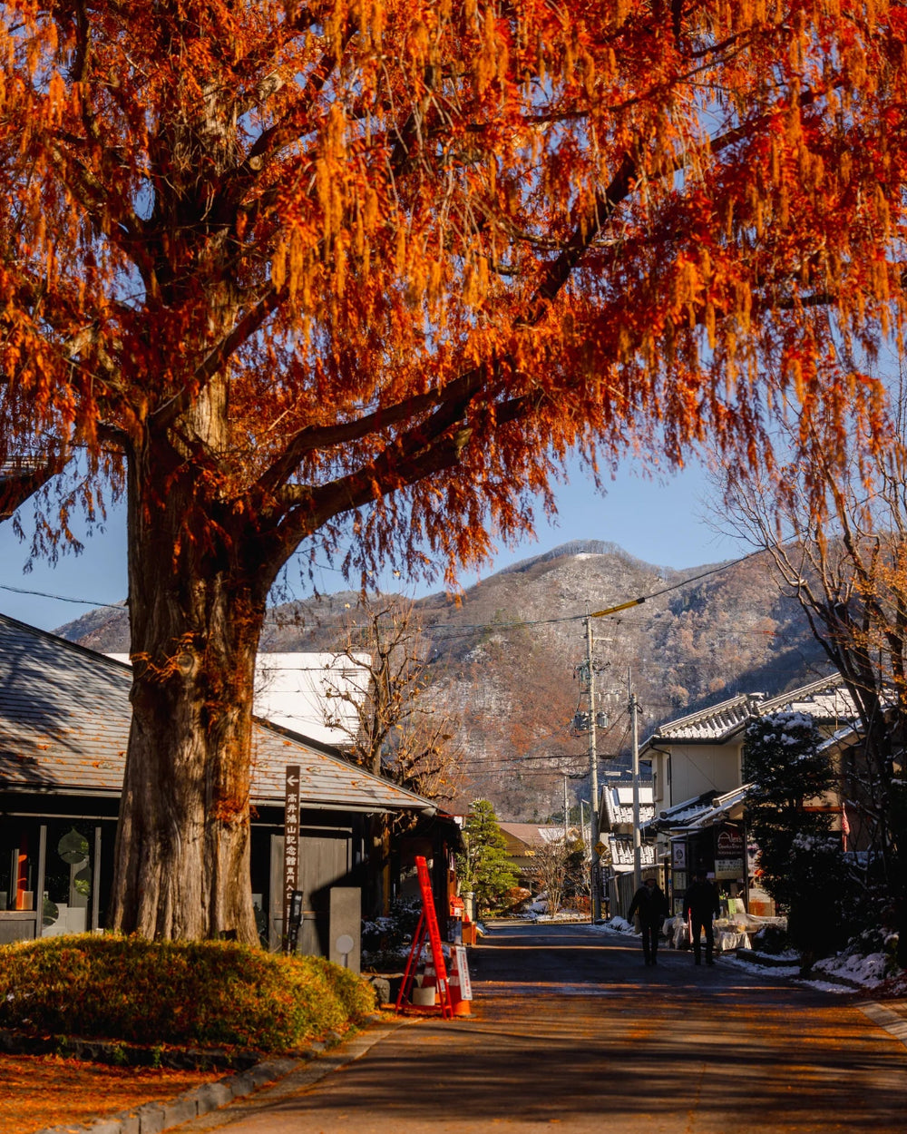 Another Japan