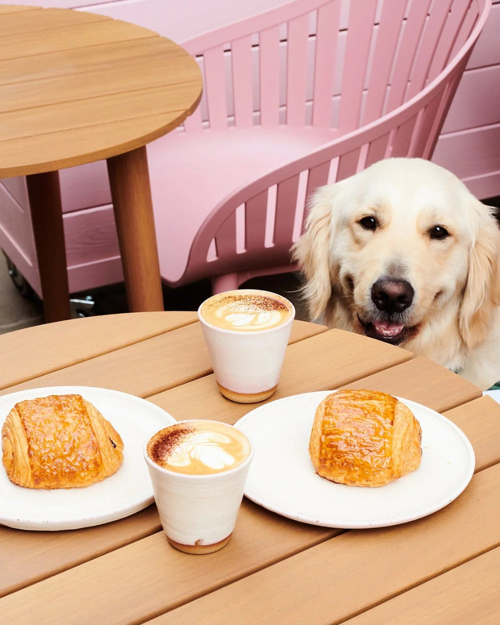 Baked In
