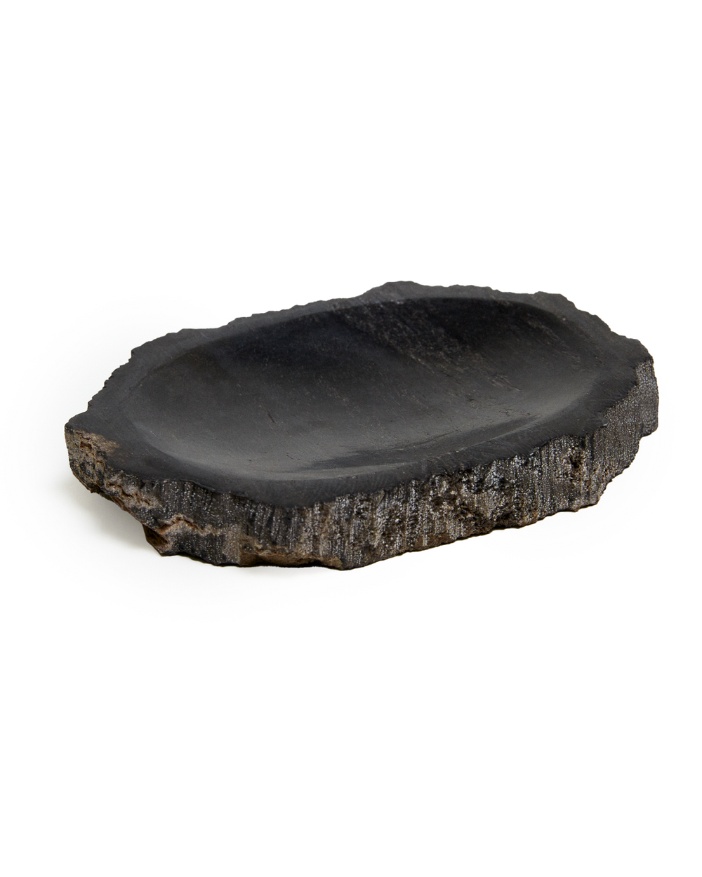 Petrified Wood Soap Dish, Black by Earl of East