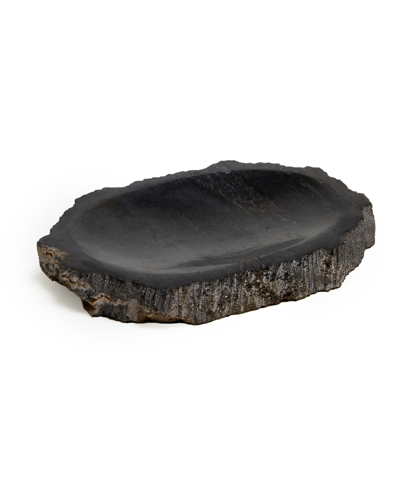 Petrified Wood Soap Dish, Black by Earl of East 