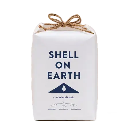 Crushed Whelk Shells, Mini Bag (1KG) by Shell On Earth