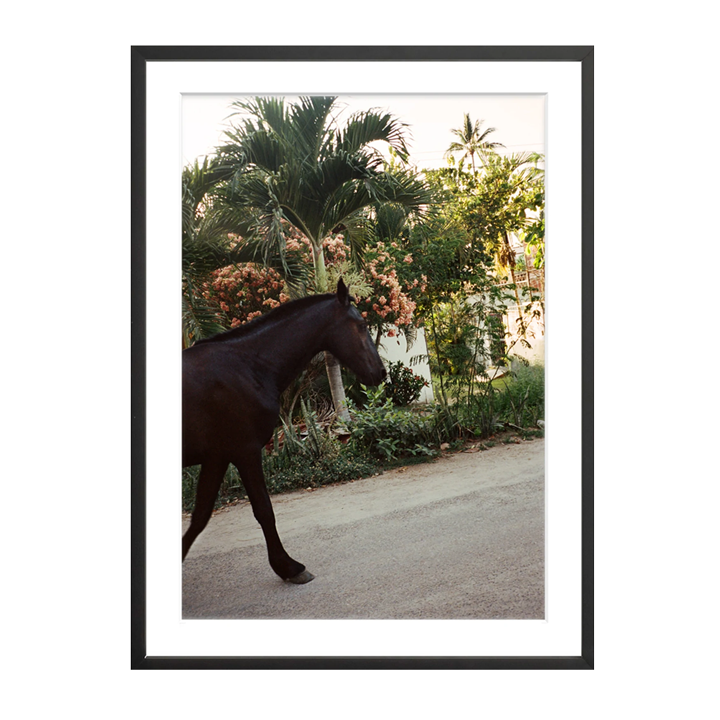  'A Horse With No Name' On Film, Framed Print by The Happiness Collective 