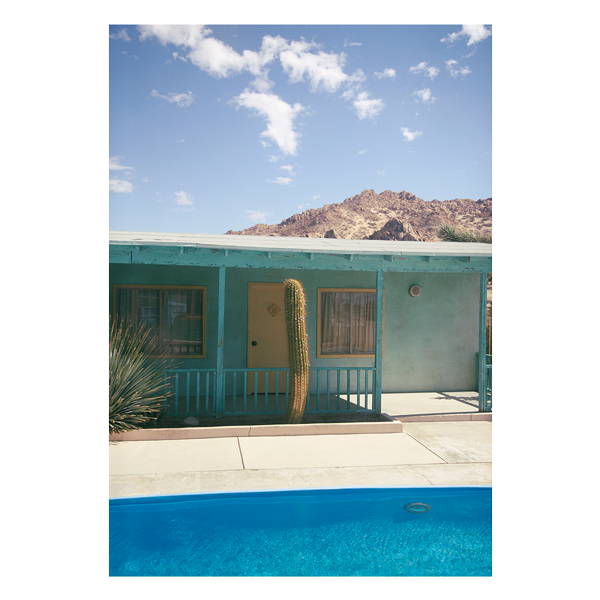 'Lights, Cactus, Action!' On Film, Framed Print by The Happiness Collective