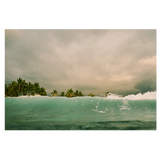 The Happiness Collective | 'Out The Back' On Film - Framed Print