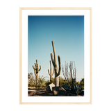 The Happiness Collective | 'Stick Em Up' On Film - Framed Print