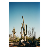 The Happiness Collective | 'Stick Em Up' On Film - Framed Print